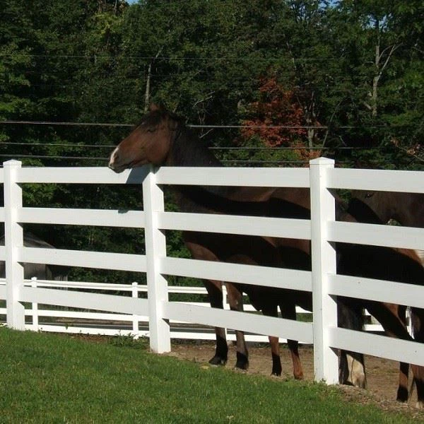 Ranch Rail Vinyl Fence