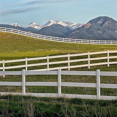 Clôture du cheval blanc